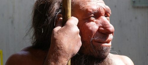 Belgian Neanderthals Were Butchering Their Dead | IFLScience - iflscience.com