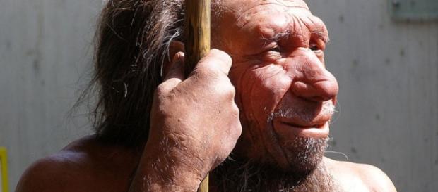 Belgian Neanderthals Were Butchering Their Dead | IFLScience - iflscience.com Belgian Neanderthals Were Butchering Their Dead | IFLScience - iflscience.com