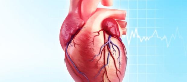 Heart disease - netdoctor.co.uk Heart disease - netdoctor.co.uk