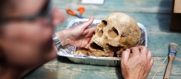Una de las cabezas que fueron sacadas de la excavación. Una de las cabezas que fueron sacadas de la excavación.