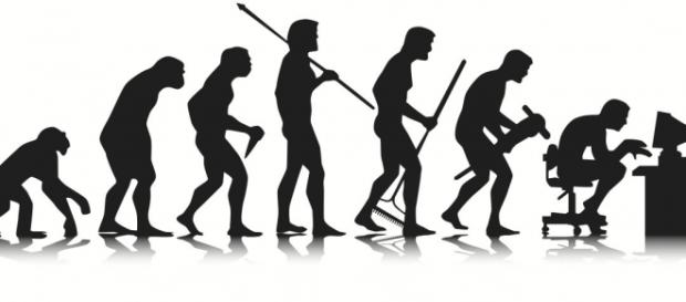 Famoso desenho da evolução humana Famoso desenho da evolução humana