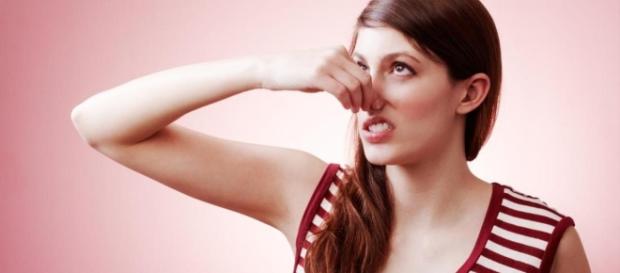 Me huele el chichi a canela - WeLoverSize.com - weloversize.com Me huele el chichi a canela - WeLoverSize.com - weloversize.com