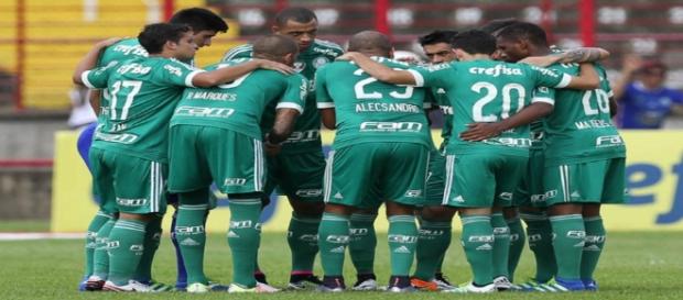 Palmeiras vem em grande fase no Brasileirão Palmeiras vem em grande fase no Brasileirão