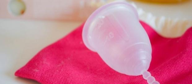 Coletor menstrual: faz bem para a saúde e para o meio ambiente. Coletor menstrual: faz bem para a saúde e para o meio ambiente.