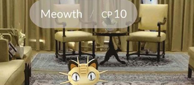 El mundo Pokémon se extiende y cada día son más sus usuarios. El mundo Pokémon se extiende y cada día son más sus usuarios.