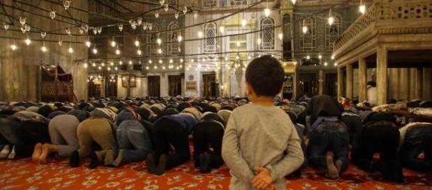 Políticas de prevención de la radicalización - politicaexterior.com Políticas de prevención de la radicalización - politicaexterior.com