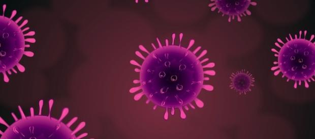 Wirus HPV - jak się przed nim ustrzec? Wirus HPV - jak się przed nim ustrzec?