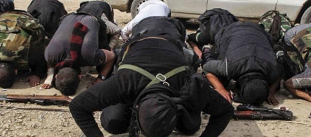 Inneggiava al terrorismo islamico: espulso dalla Marca un 39enne ... - trevisotoday.it Inneggiava al terrorismo islamico: espulso dalla Marca un 39enne ... - trevisotoday.it