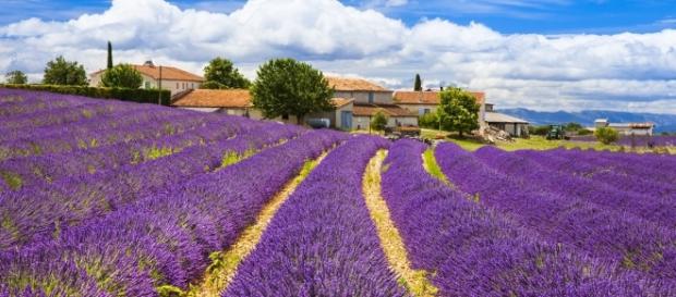 Vacances en Provence - flowercampings.com Vacances en Provence - flowercampings.com