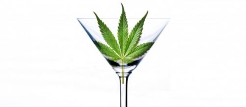Cannabis, la Consulta: "La coltivazione per uso personale resta ... - improntaunika.it