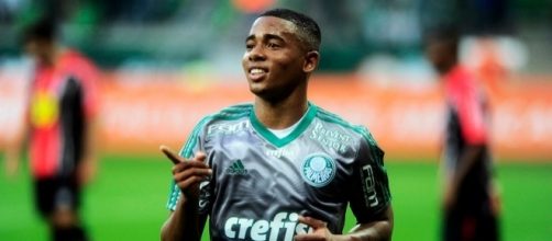 Gabriel Jesus, attaccante del Palmeiras che piace al Milan.