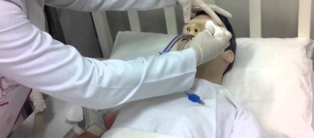 medico acredita poder reverter morte cerebral medico acredita poder reverter morte cerebral