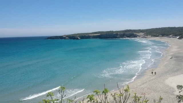 Alga tossica Puglia, Ostreopsis Ovata nel mar Adriatico