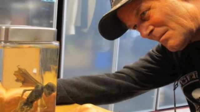 Brian Foster con l' "alieno alato"