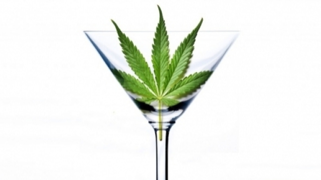 Cannabis, la Consulta: "La coltivazione per uso personale resta ... - improntaunika.it