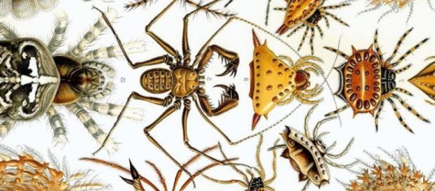 Appel à communication | Les sciences du vivant. Appel à communication | Les sciences du vivant.