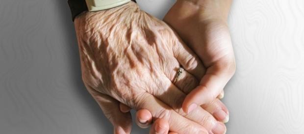 Mano joven vs mano envejecida (Fuente:Pixabay) Mano joven vs mano envejecida (Fuente:Pixabay)