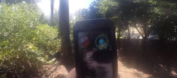 Pokemon Go Blamed in Shooting - NBC News - nbcnews.com Pokemon Go Blamed in Shooting - NBC News - nbcnews.com