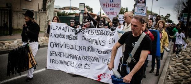 Depuis deux ans, le collectif organise, avant chaque grande manifestation annuelle, des rassemblements mensuels devant le parc Marineland. Depuis deux ans, le collectif organise, avant chaque grande manifestation annuelle, des rassemblements mensuels devant le parc Marineland.