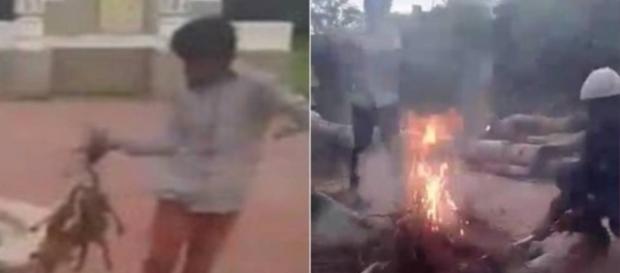 Jovens queimam filhotinhos de cachorro e chocam o mundo Jovens queimam filhotinhos de cachorro e chocam o mundo