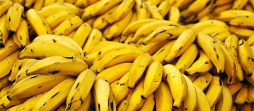 É possível conservar suas bananas por muito mais tempo do que você está habituado