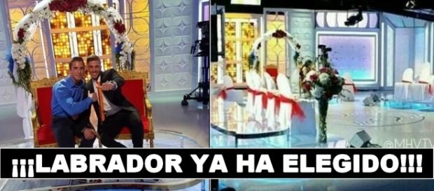 MYHYV ¡Labrador graba su final y se va con...! MYHYV ¡Labrador graba su final y se va con...!