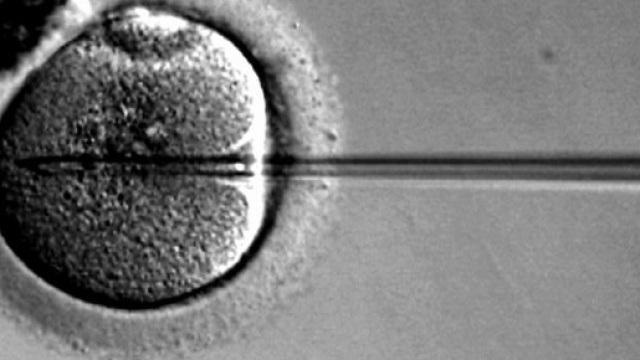 Consiglio di Stato: eterologa gratuita come omologa. Ma gli italiani cosa ne pensano?
