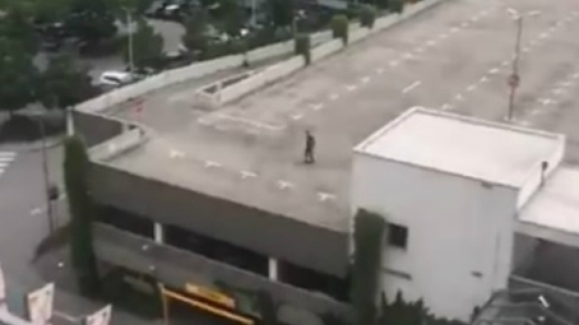 Dieci morti e ventuno feriti nell'attacco di ieri a Monaco di Baviera.