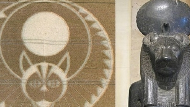 Fonte fotografica Crop Circle Connector. Pittogramma del 22 Luglio a Figsbury Ring Wiltshire.