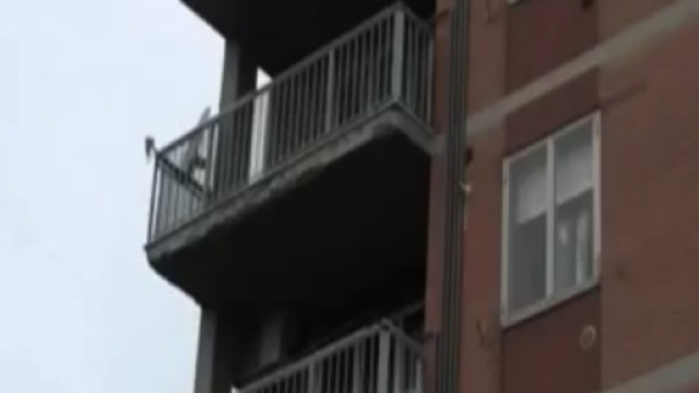 RegioneER: No agli alloggi pubblici assegnati a vita, la Regione ... - faenzawebtv.it