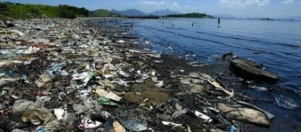 Rio não consegue nem limpar as águas da Baía de Guanabara Rio não consegue nem limpar as águas da Baía de Guanabara