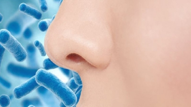 Dalla Germania si prospetta l'opportunità di scoprire antibiotici nel corpo umano, a partire dal naso.