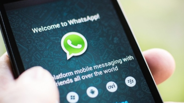 WhatsApp: attenzione al messaggio truffa.