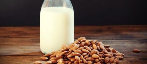 La leche de almendras nutritiva y quema grasas excepcional ... - ividasaludable.com La leche de almendras nutritiva y quema grasas excepcional ... - ividasaludable.com