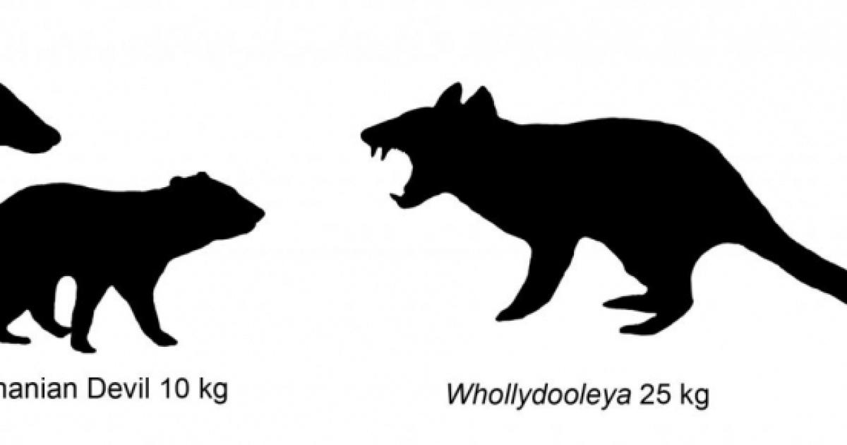 Flesheating kangaroo discovered at fossil site in Western Queensland