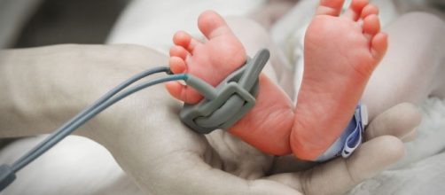 Bambini nati prematuri | Piedini bambino prematuro | FOTO ... - pianetamamma.it