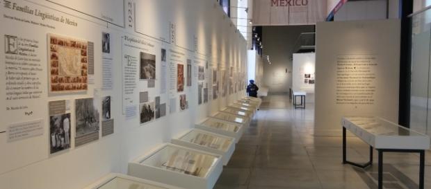Exposición temporal en el Museo de las Culturas de CDMX Exposición temporal en el Museo de las Culturas de CDMX