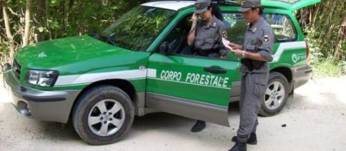 IL corpo Forestale dello Stato sarà accorpato all'arma dei carabinieri.