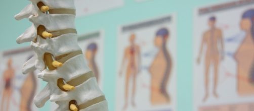 Blog | Back in Action Chiropractic - mauichiropractic.com