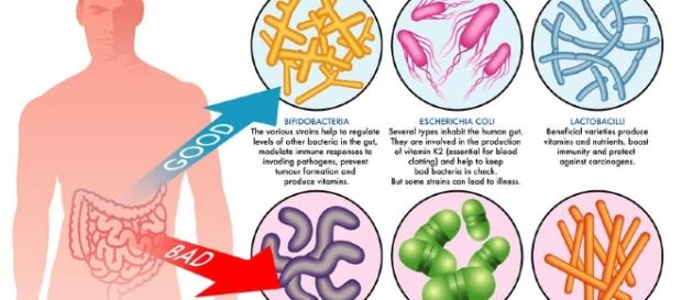 Clostridium Difficile o bacterie care generează infecţie nozocomială Clostridium Difficile o bacterie care generează infecţie nozocomială