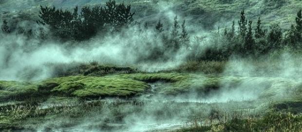 Game of Thrones' world: Sothoryos. Mystical via Pexels Game of Thrones' world: Sothoryos. Mystical via Pexels