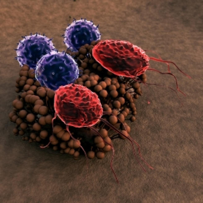 Video Highlights Twins Study Microbiome Investigation | NASA - nasa.gov