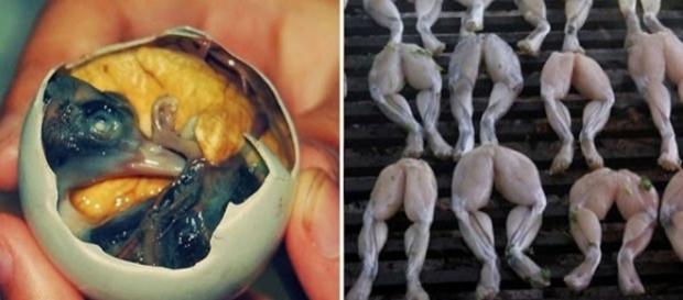 Balut, que é ovo de pato cozido com um embrião em seu interior e, ao lado, patas de rãs Balut, que é ovo de pato cozido com um embrião em seu interior e, ao lado, patas de rãs