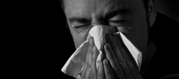 Consejos para la prevención y el tratamiento de los resfriados (I ... - ecoosfera.com Consejos para la prevención y el tratamiento de los resfriados (I ... - ecoosfera.com
