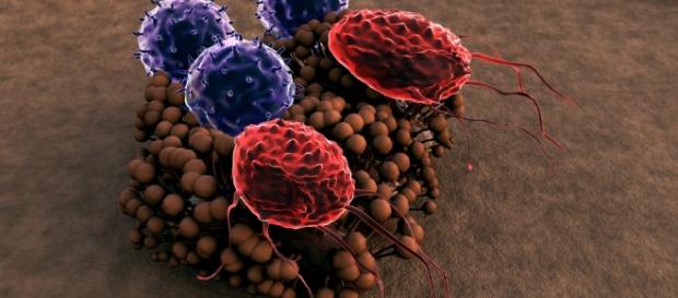 Video Highlights Twins Study Microbiome Investigation | NASA - nasa.gov Video Highlights Twins Study Microbiome Investigation | NASA - nasa.gov