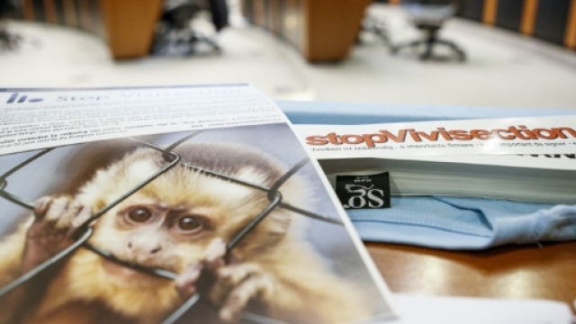 Blogger animalista condannata a risarcire un laboratorio di Torino: "definire i medici torturatori e vivisettori &egrave; diffamazione".