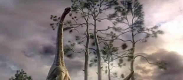 Veja dados curiosos sobre os dinosauros Veja dados curiosos sobre os dinosauros