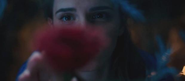 Veja Emma Watson no teaser trailer de “A Bela e a Fera ... - loucosporfilmes.net Veja Emma Watson no teaser trailer de “A Bela e a Fera ... - loucosporfilmes.net