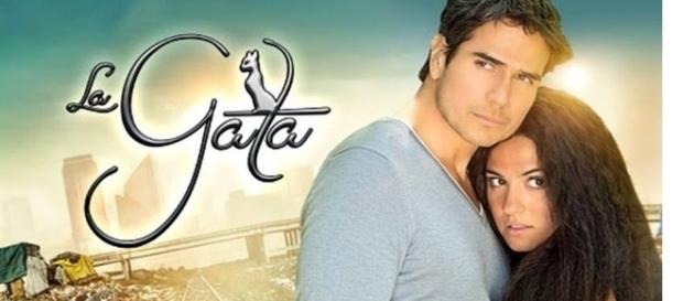 'A Gata' será a nova novela mexicana exibida pelo SBT 'A Gata' será a nova novela mexicana exibida pelo SBT