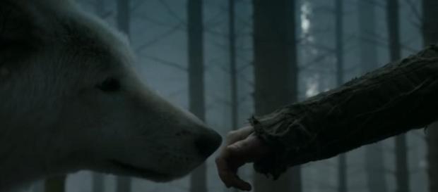 Game of Thrones theories, Jojen and Summer in season 3. Screencap: Pate Cressen via YouTube Game of Thrones theories, Jojen and Summer in season 3. Screencap: Pate Cressen via YouTube